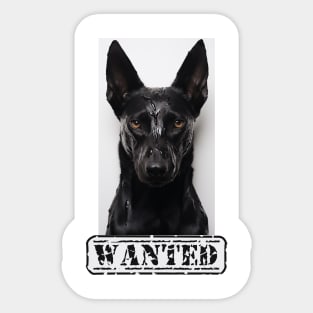 Malinois Wanted Sticker